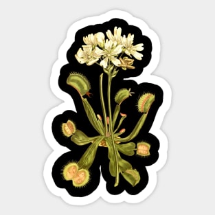 Venus Flytrap Yellow Sticker